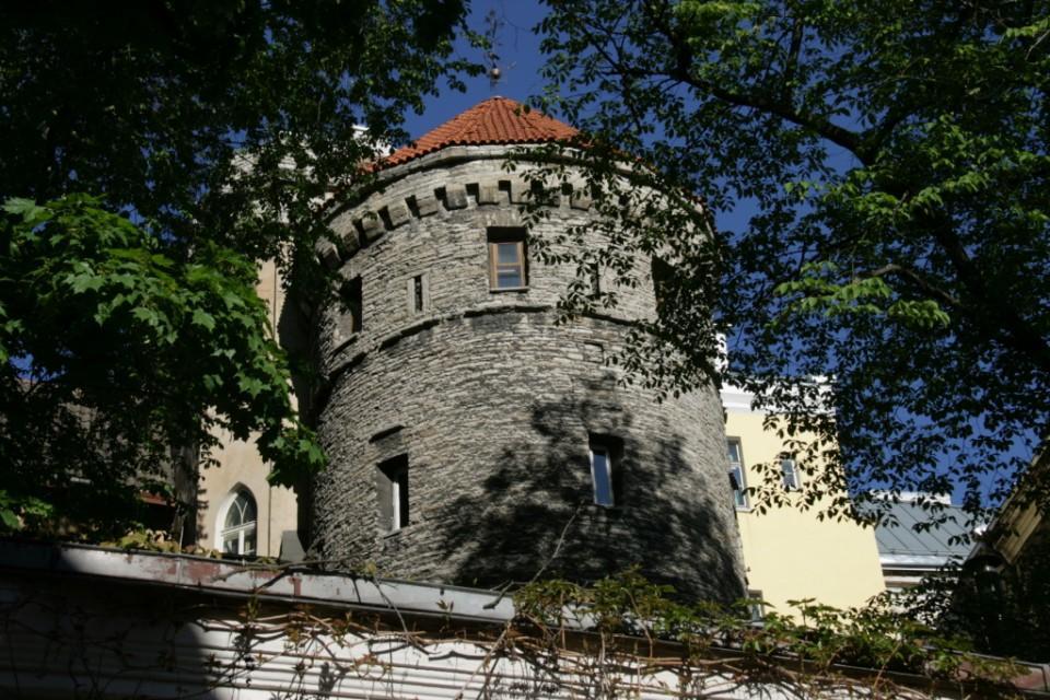 Rapunzel Tower Apartment Tallin Habitación foto